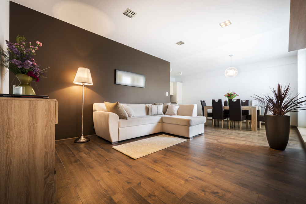 caring for your wooden floors - wood floor under sofa