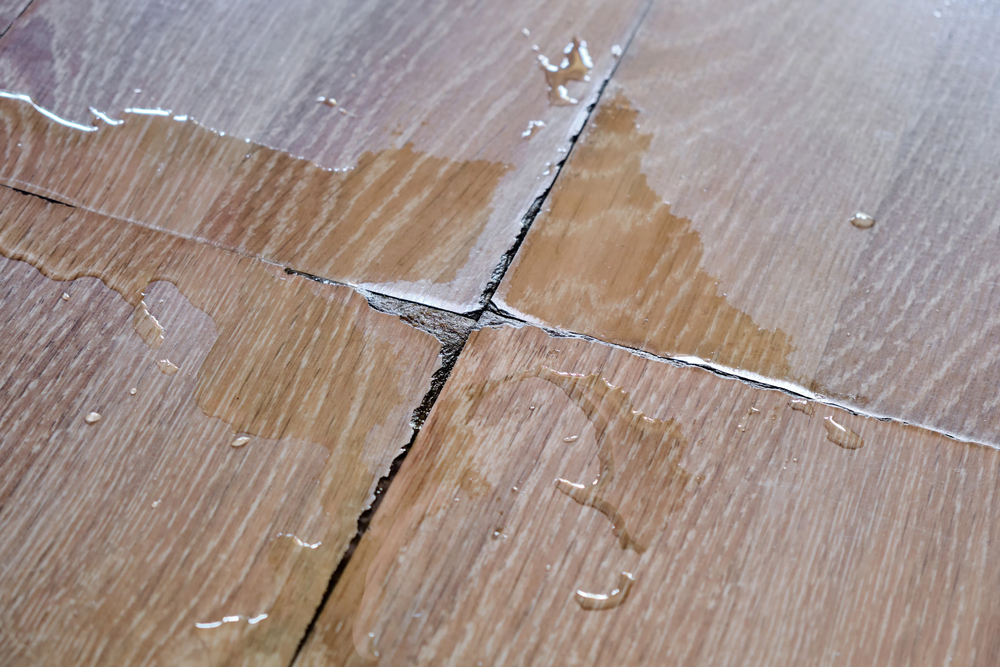 Protect Your Laminate Flooring From Water Damage